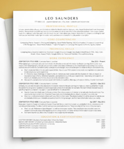 ATS Compatible Resume Template One Page Resume Leo Saunders