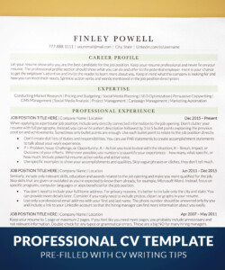 Professional ATS Ready CV Template Cover CV Finley Powell