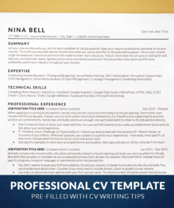 Simple ATS Friendly CV Template Professional CV Template Nina Bell