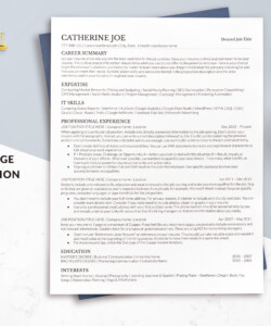 ATS Resume Template Google Docs One Page Resume Catherine Joe