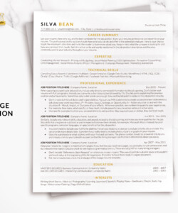 ATS Compliant Resume Template One Page Resume Silva Bean