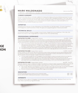 Executive ATS Friendly Resume Template One Page Resume Mark Maldonado
