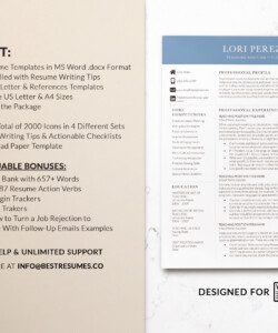 Professional Teaching Resume and Cover Letter Compact Resume Package Lori Perez