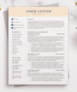 2 Column Professional Resume Template One Page Resume Asher Leister
