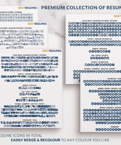 Elegant Resume Template for Word Resume Icons Savannah Palmer