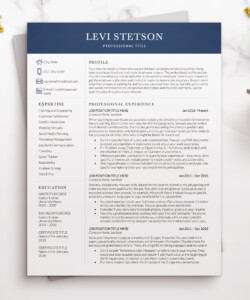Financial Resume Template for Word Resume One Page Levi Stetson