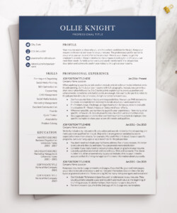 Professional-Executive-Resume-Template-One-Page-Resume-Ollie-Knight